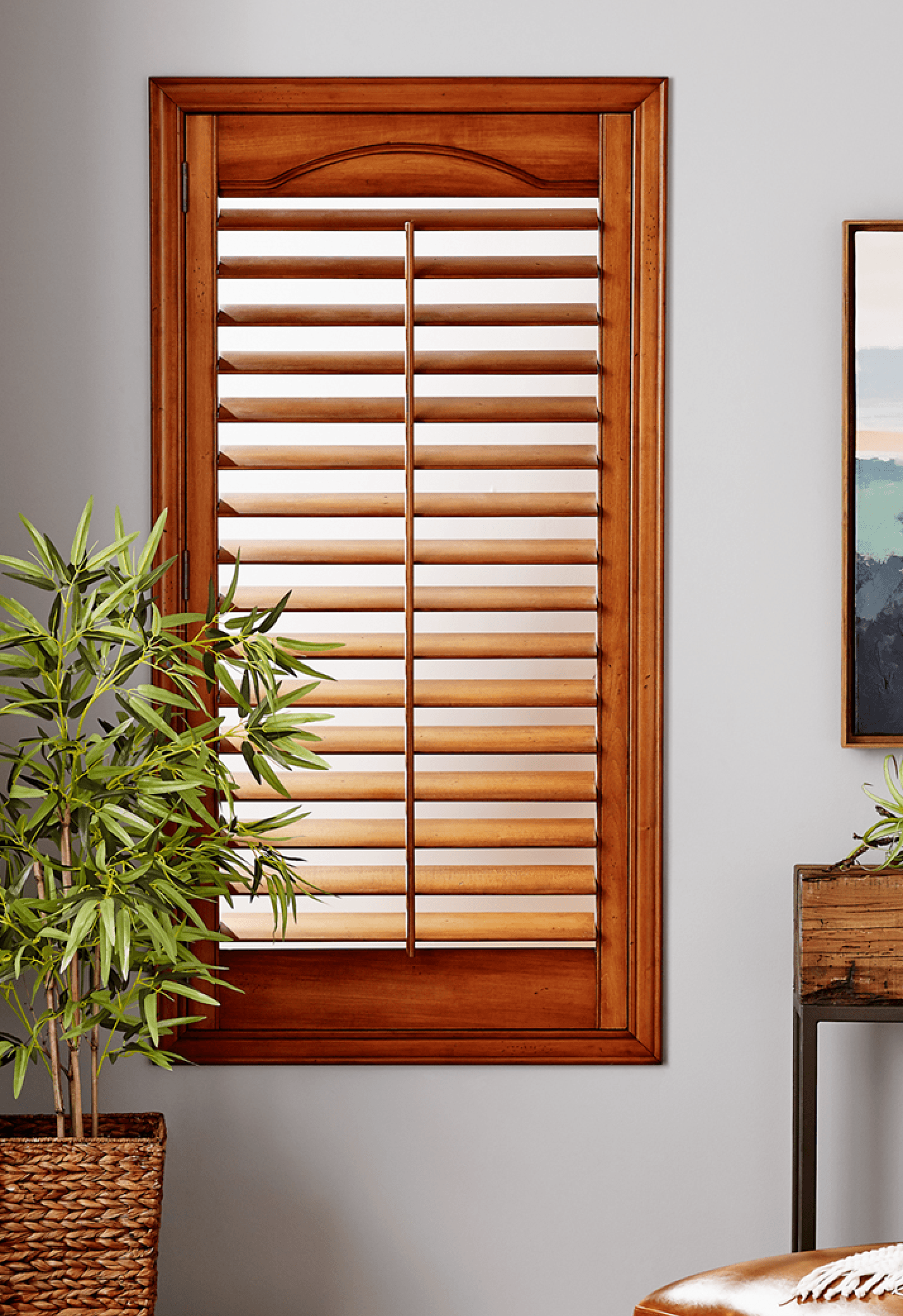 Quality Shutters Shutters Exus -
